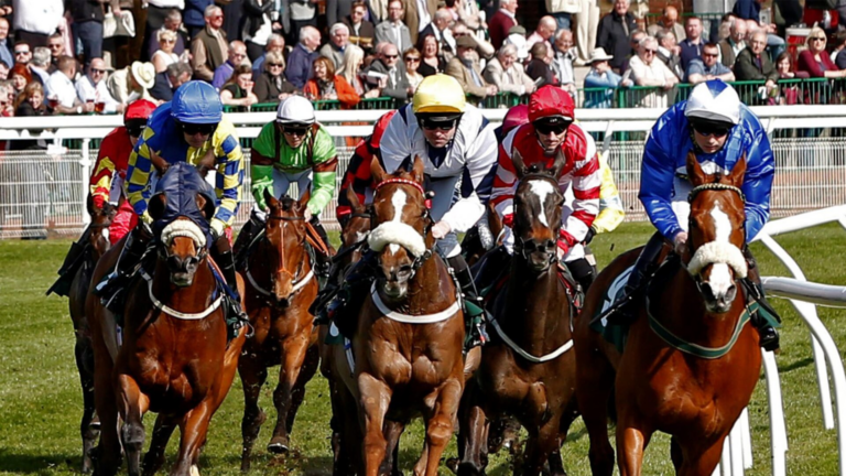 Your Guide to the Yorkshire Horse
